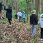 Parkour mit verbundenen Augen im Wald