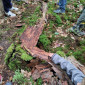 Naturmurmelbahn im Wald
