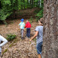 Waldausflug