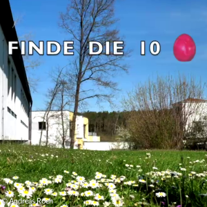 Finde die 10 Eier