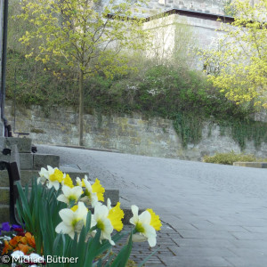 Frühling vor der Kirche